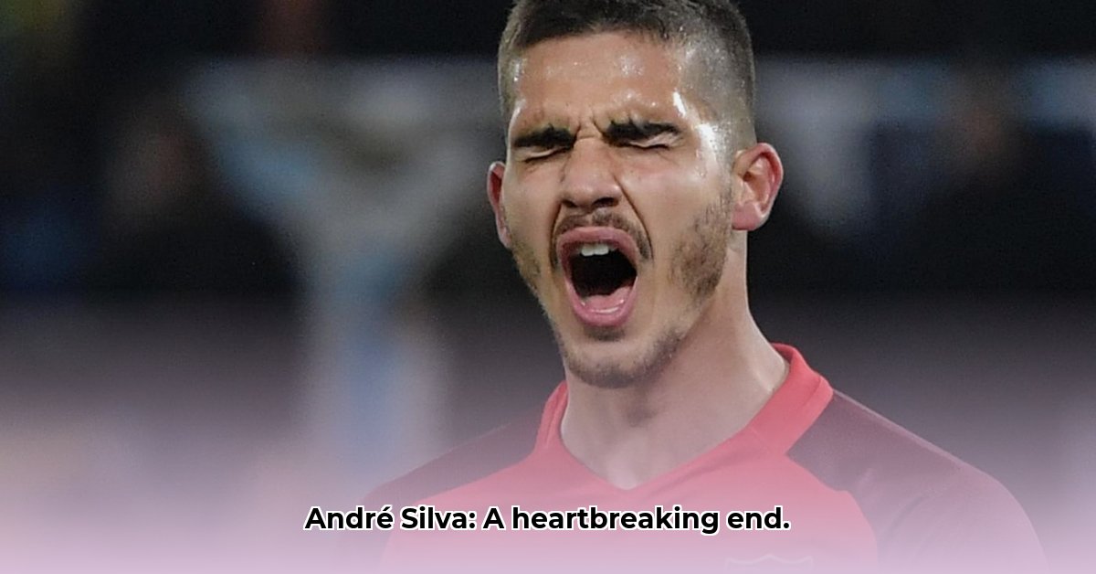 andre-silva-wiki